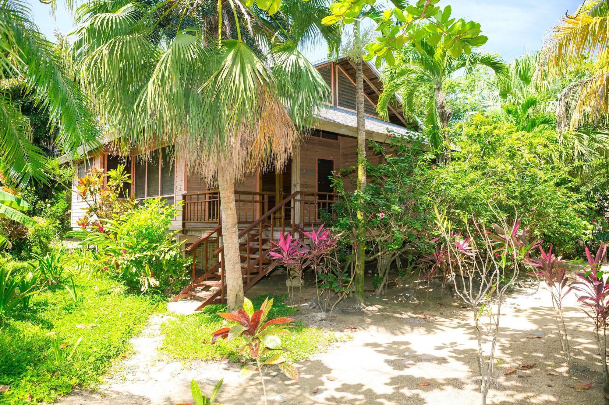 Casa Flores Palmetto Bay Εξωτερικό φωτογραφία