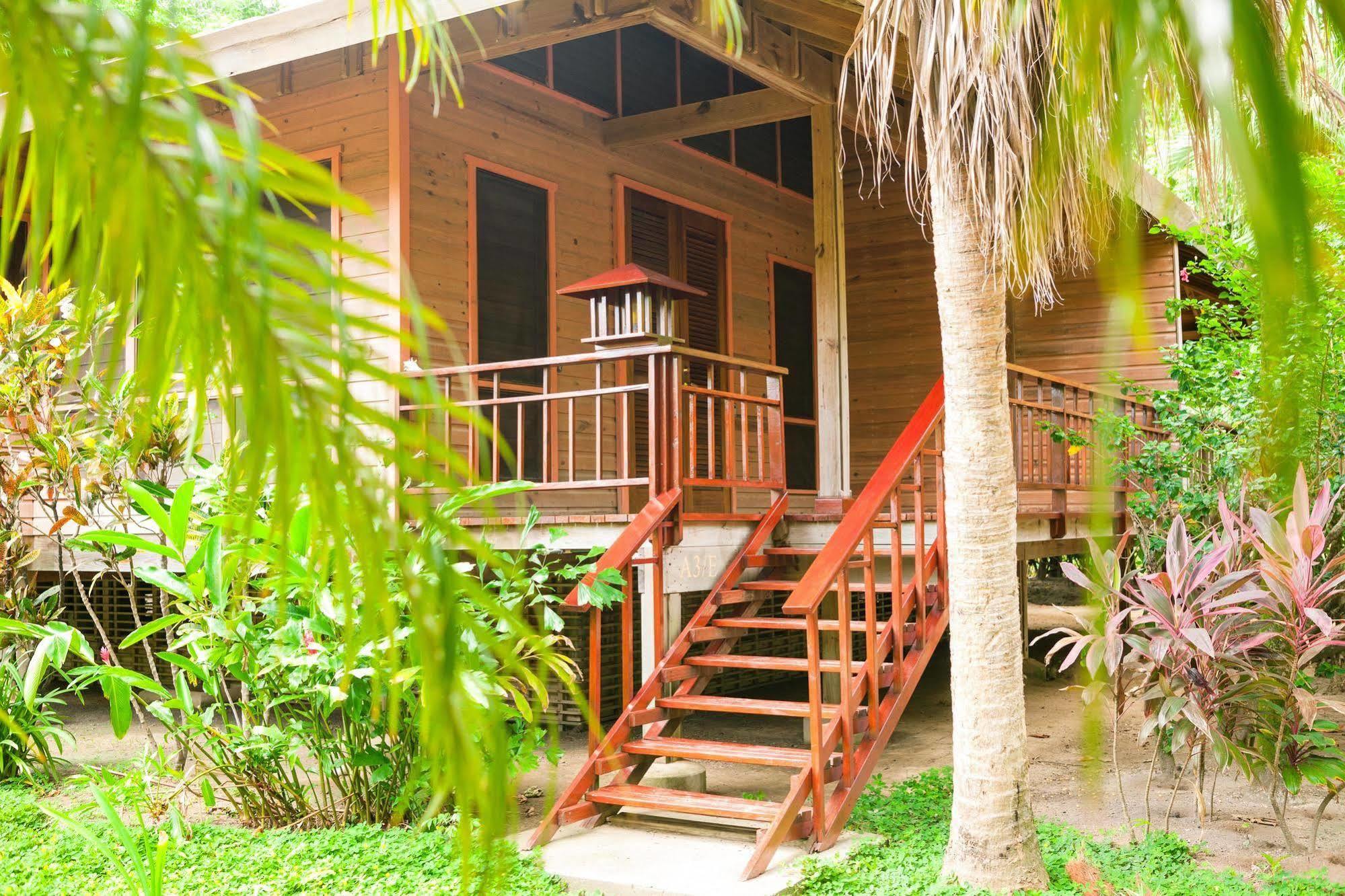 Casa Flores Palmetto Bay Εξωτερικό φωτογραφία
