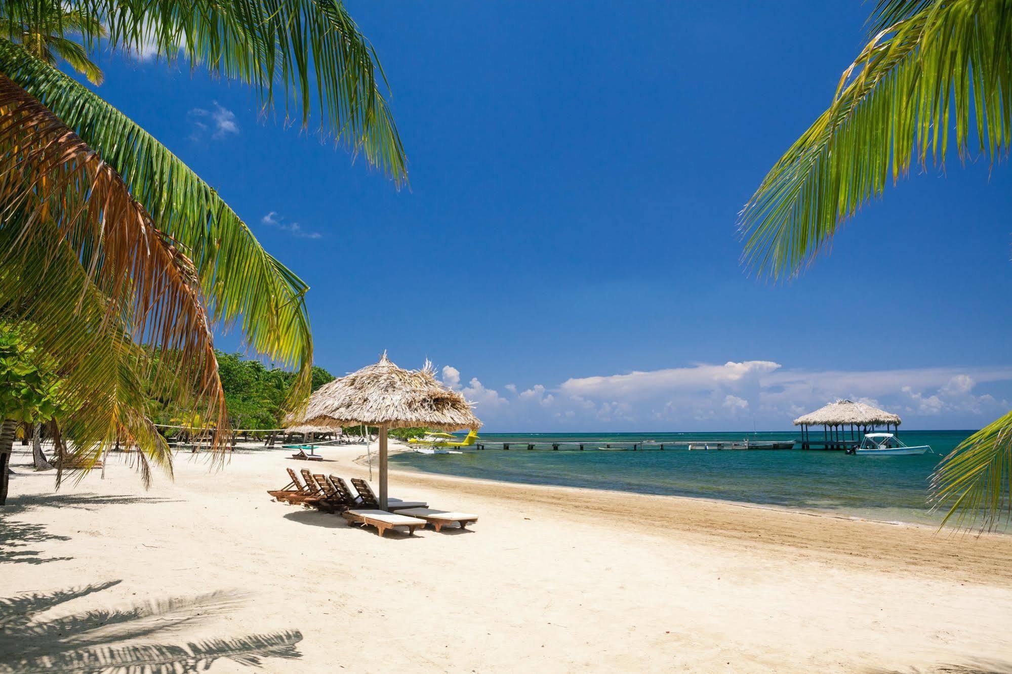 Casa Flores Palmetto Bay Εξωτερικό φωτογραφία