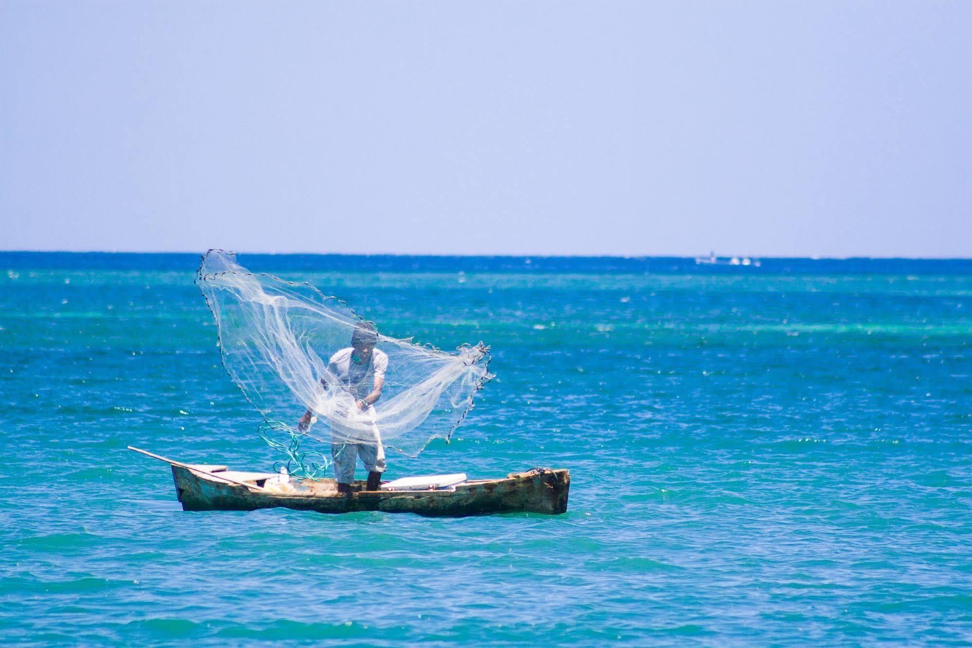 Casa Flores Palmetto Bay Εξωτερικό φωτογραφία