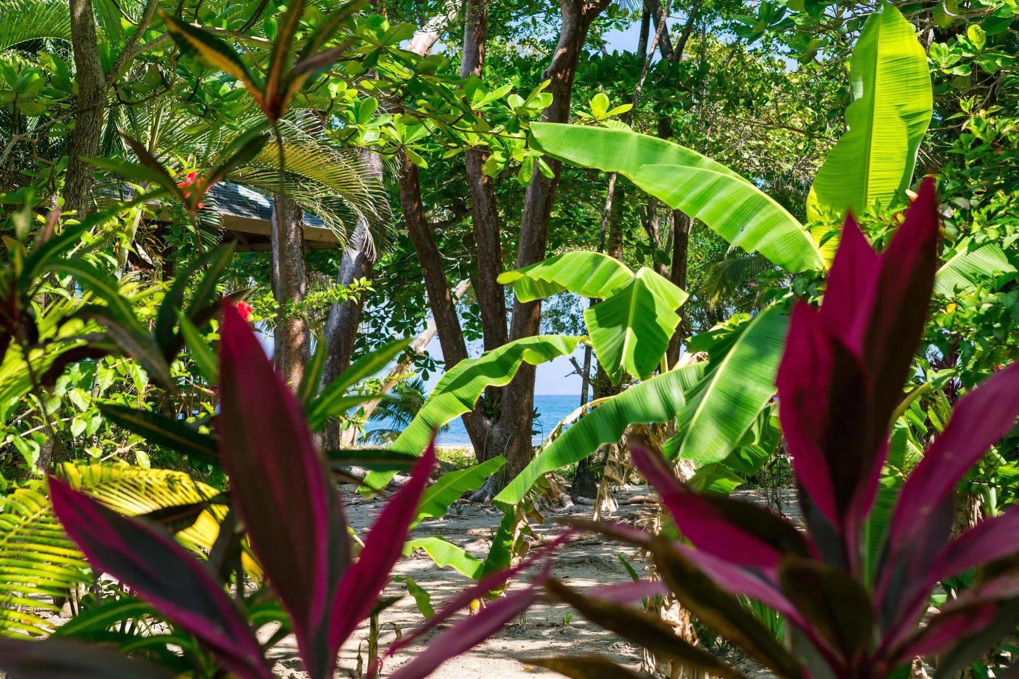 Casa Flores Palmetto Bay Εξωτερικό φωτογραφία