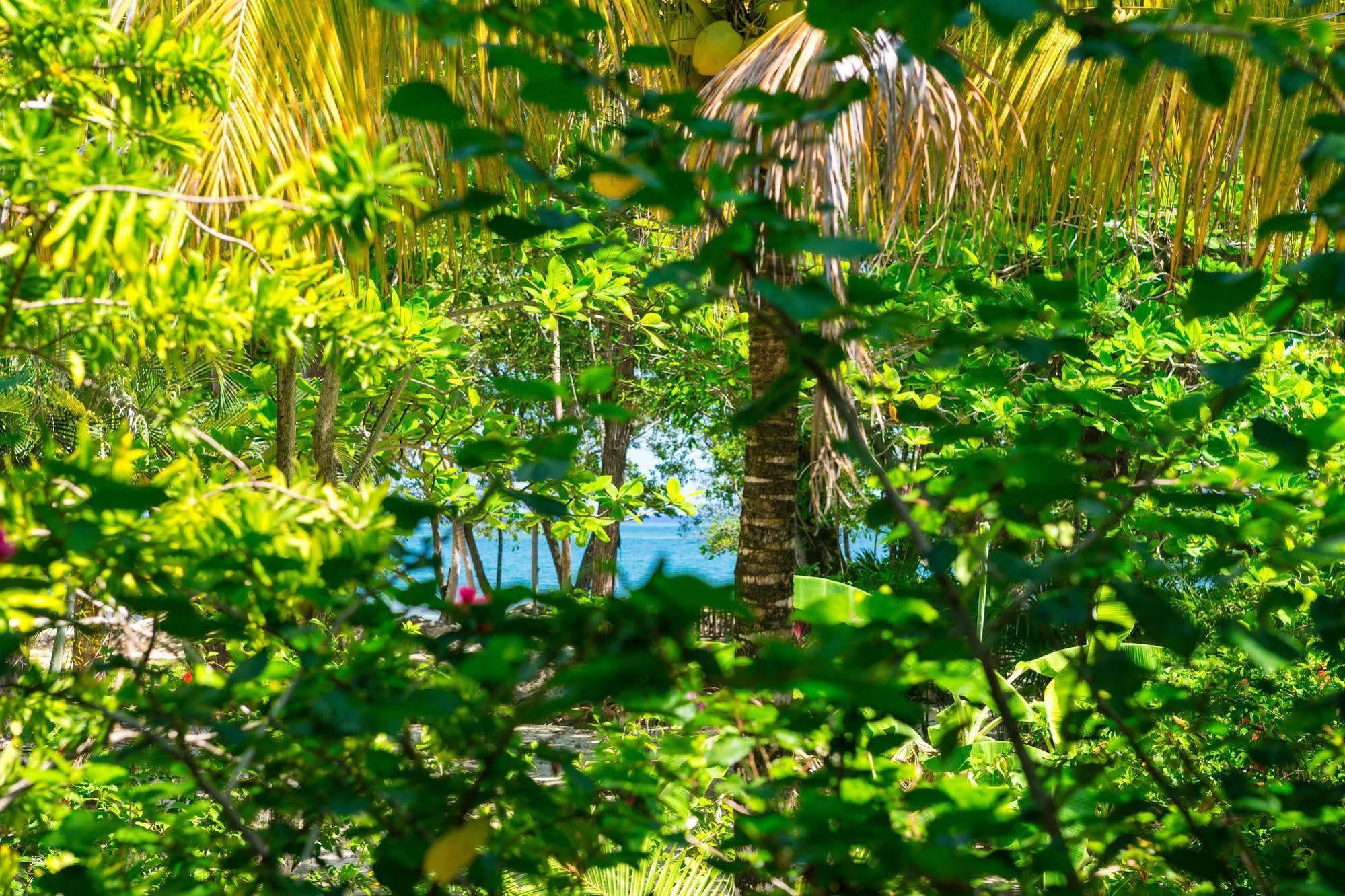 Casa Flores Palmetto Bay Εξωτερικό φωτογραφία