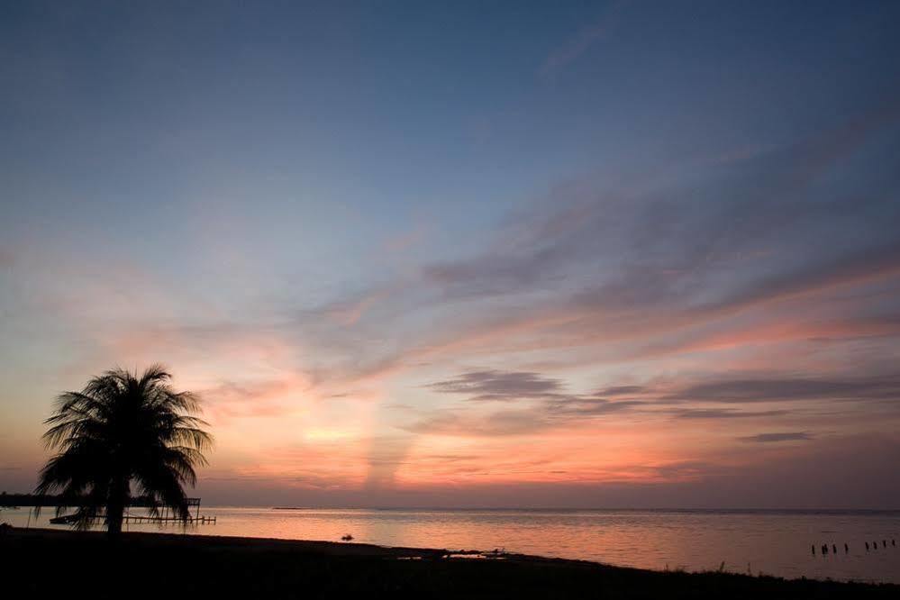 Casa Flores Palmetto Bay Εξωτερικό φωτογραφία