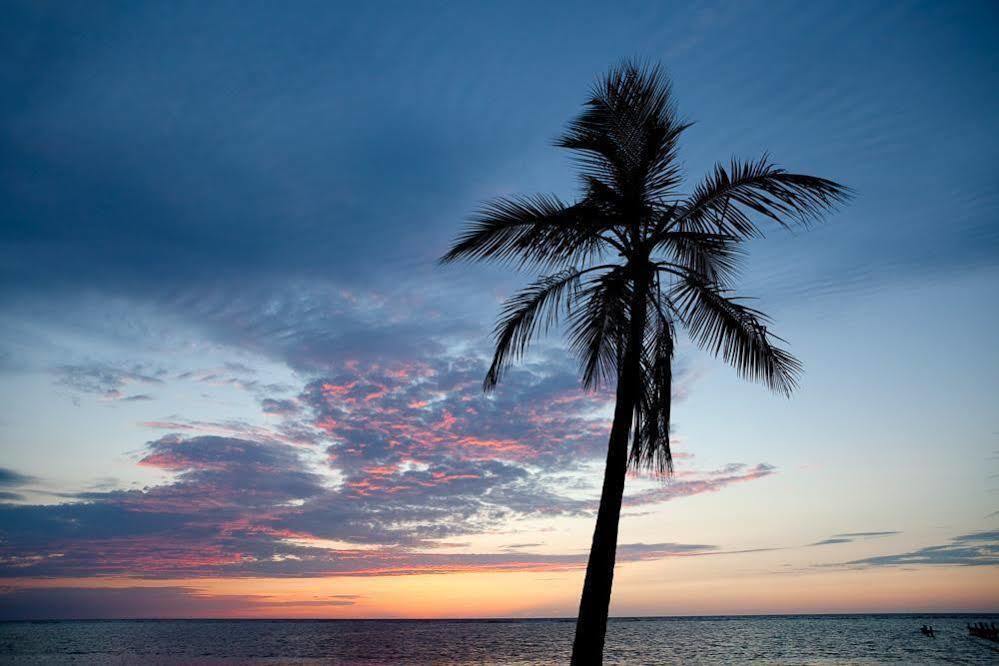Casa Flores Palmetto Bay Εξωτερικό φωτογραφία