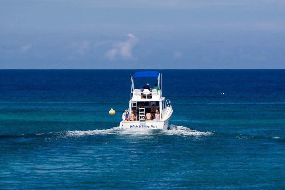 Casa Flores Palmetto Bay Εξωτερικό φωτογραφία