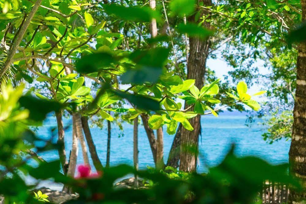 Casa Flores Palmetto Bay Εξωτερικό φωτογραφία